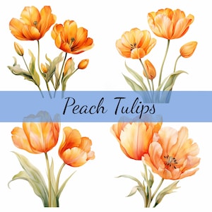 16 perzik oranje tulpen clipartbundel, hoogwaardige JPG, ambachtelijke kunst, kaarten maken, illustraties, digitale papierkunst, scrapbooking, bloem