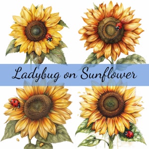 16 Girasole con coccinella Clipart Bundle, 16 JPG di alta qualità, Artigianato artistico, Creazione di biglietti, Clip Art, Artigianato di carta digitale, Scrapbooking