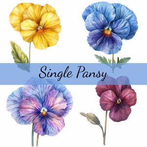 16 einzelne Stiefmütterchen Blume mit Stiel, Clipart-Bundle, 16 hochwertige JPG, Craft Art, Kartenherstellung, Clip Art, digitales Papiermodell, Scrapbooking