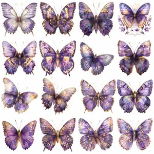 Purple and Gold Butterfly Clipart Bundle, 16 High-quality JPG, Craft ...