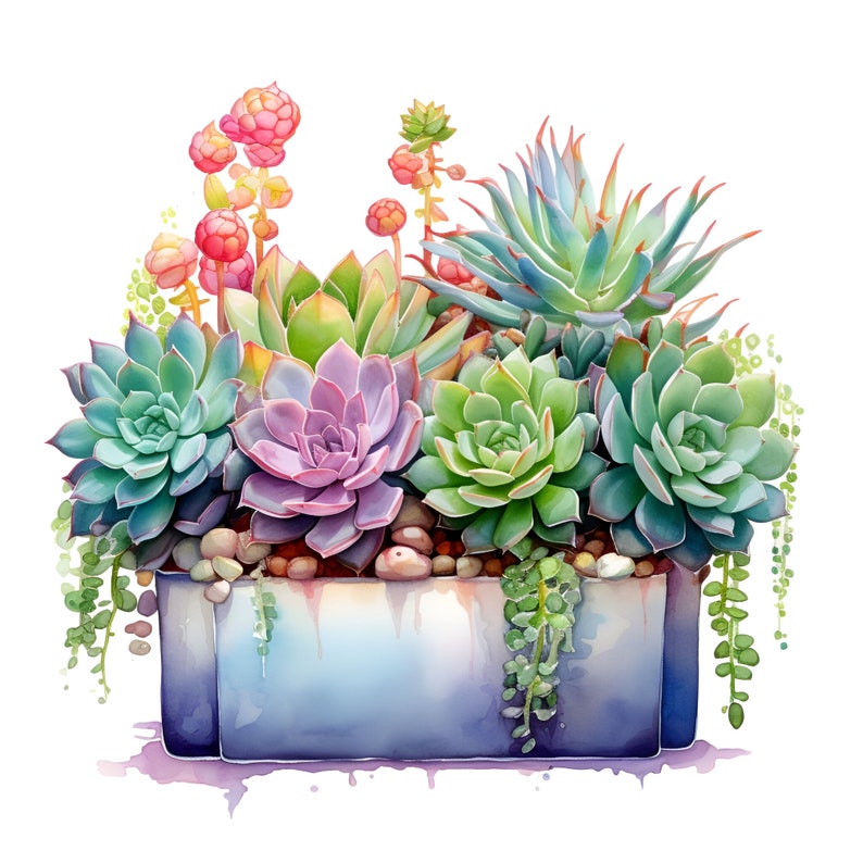 May include: A watercolor painting of a planter filled with a variety of succulents. The planter is a light blue color and the succulents are in shades of green, pink, and purple.