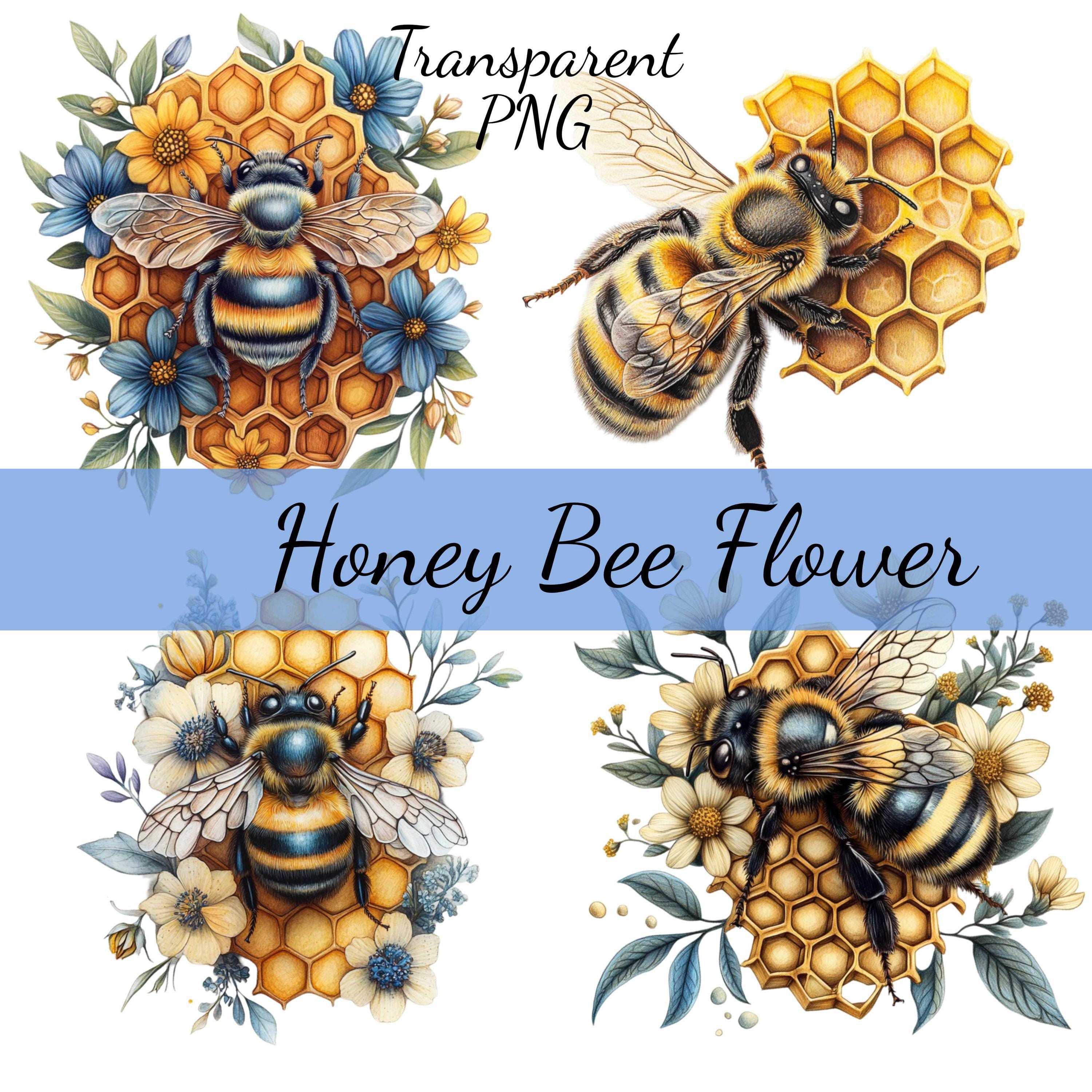 15 Honeybee With Flowers Bee Clipart Bundle 15 Transparent PNG