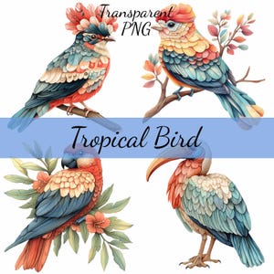 Folk Art Tropical Bird Clipart Bundle, 15 Transparent PNG Download, Craft Art, Card Making, Clip Art, Digital Paper Craft, Scrapbooking