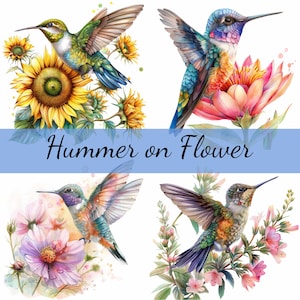 Lot de 16 cliparts colibri sur fleur tournesol, 16 images JPG de haute qualité, création artistique, fabrication de cartes, clipart, créations numériques sur papier, scrapbooking