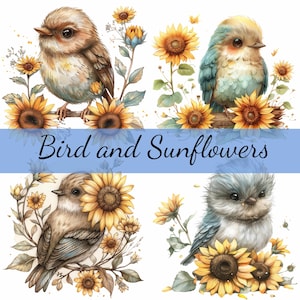 Pacote de 16 clipart de pássaros fofos com flores de girassóis, 16 JPG de alta qualidade, arte artesanal, criação de cartões, clip art, artesanato em papel digital, scrapbooking