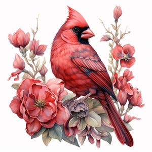 以下が含まれることがあります： ピンクの花の枝に止まっている赤いカージナルの鳥。鳥は黒い目と黒い嘴をしています。花は満開で、緑の葉があります。