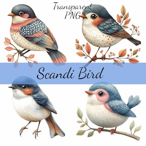 Scandi Vogel Clipart Bundle 16 transparente PNG Download, Kartenherstellung, Clip Art, digitale Papiermodelle, Scrapbooking