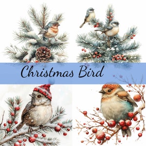 Pacote de 16 clipart de pássaros fofos com árvore de Natal, 16 JPG de alta qualidade, arte artesanal, criação de cartões, clip art, artesanato em papel digital, scrapbooking