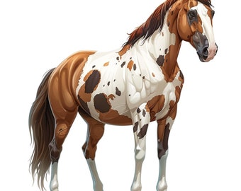 Pacchetto di clipart Paint Horse, 16 JPG di alta qualità, arte artigianale, creazione di cartoline, clip art, creazione di carta digitale, scrapbooking