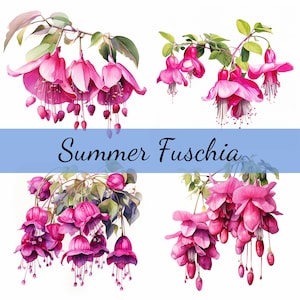 16 Hanging Fuchsia Flower Clipart Bundle, Flower Clipart, High-Quality JPG, Craft Art, Card Making, Clip Art, Digital Paper Craft, Wall Art