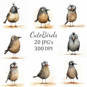 20 Quirky Funny Birds Clipart Bundle, High-Quality JPG, Card Making, Clip Art, Digital Paper Craft, Scrapbooking, Cartoon, Nursery Art