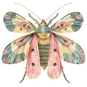 16 Floral Insect in Pink Clipart Bundle, High-quality JPG, Craft Art ...