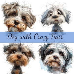 Paquete de 16 imágenes prediseñadas de perros de pelo salvaje y loco, 16 archivos JPG de alta calidad, manualidades, creación de tarjetas, imágenes prediseñadas, manualidades con papel digital, álbumes de recortes