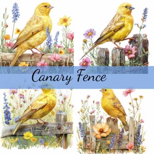 Canary Bird on a Fence Clipart Bundle, 16 High-Quality JPG, Craft Art, Card Making, Clip Art, Digital Paper Craft, Scrapbooking