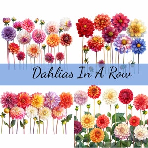 Pacote de clipart de 16 flores de dália em uma fileira, 16 JPG de alta qualidade, arte artesanal, criação de cartões, clip art, artesanato em papel digital, scrapbooking