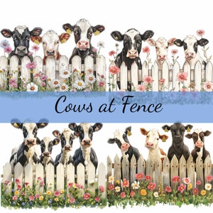 May include: A digital illustration of cows peeking over a white picket fence with colorful flowers in the foreground. The text "Cows at Fence" is displayed in a blue banner.