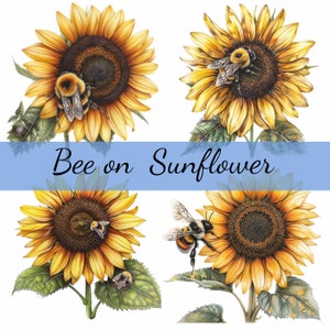 Bundle de 16 cliparts abeille sur un tournesol, 16 fichiers JPG de haute qualité, création artistique, fabrication de cartes, clipart, créations numériques sur papier, scrapbooking