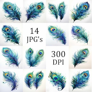 Lot de 14 cliparts plumes de paon, JPG de haute qualité, invitations, fabrication de cartes, clipart, créations numériques en papier, scrapbooking, art mural