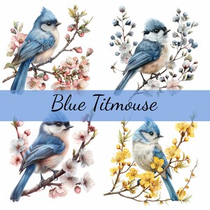 Lot de 16 cliparts mésange bleue sur une branche de fleur, 16 fichiers JPG de haute qualité, création artistique, fabrication de cartes, clipart, créations numériques sur papier, scrapbooking