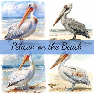 Lot de 16 cliparts pélican à la plage, 16 images JPG de haute qualité, créations artisanales, fabrication de cartes, clipart, créations numériques sur papier, scrapbooking