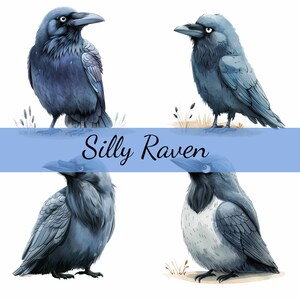 Silly Raven Black Bird Clipartbundel, 12 hoogwaardige JPG, Craft Art, Kaarten maken, Illustraties, Digital Paper Craft, Scrapbooking