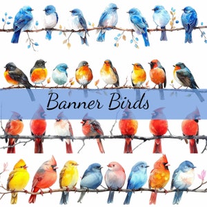 Pacote de 15 clipart de borda de página de banner de pássaro, 15 JPG de alta qualidade, arte artesanal, criação de cartões, clip art, artesanato em papel digital, scrapbooking