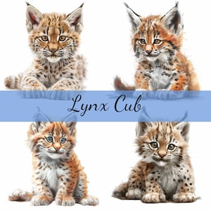Paquete de 16 imágenes prediseñadas de cachorros de lince bebé, 16 imágenes en formato JPG de alta calidad, manualidades, creación de tarjetas, imágenes prediseñadas, manualidades con papel digital, álbumes de recortes