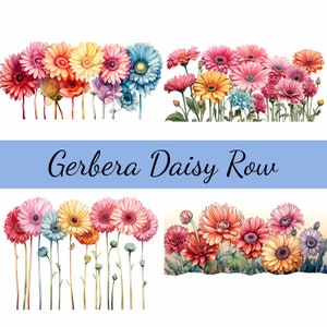 Lot de 15 rangées de fleurs de gerbera marguerite, JPG de haute qualité, création artistique, fabrication de cartes, clipart, créations numériques sur papier, scrapbooking