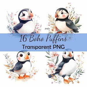 Paquete de 16 imágenes prediseñadas de acuarela de aves frailecillos bohemios, PNG transparente, descarga, tarjeta, clip art, manualidades de papel digital, álbumes de recortes, guardería, dibujos animados