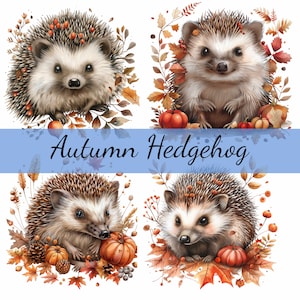 Ensemble de 16 cliparts hérisson en automne avec des pommes de pin, JPG de haute qualité, création artistique, fabrication de cartes, clipart, créations numériques sur papier, scrapbooking