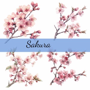 16 Sakura Zweig rosa Blumen Clipart Bundle, 16 hochwertige JPG, Craft Art, Kartenherstellung, Clip Art, digitale Papiermodelle, Scrapbooking