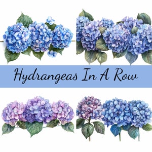 Op de afbeelding: Vier aquarel illustraties van hortensia's in een rij. De hortensia's zijn blauw en paars en hebben groene bladeren. De tekst "Hydrangeas In A Row" is geschreven in blauwe letters op een lichtblauwe achtergrond.