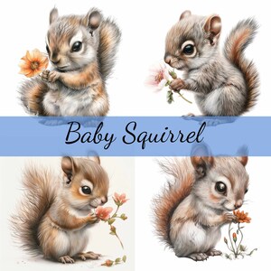Lot de 16 bébés écureuils mignons avec une fleur, 16 images JPG de haute qualité, créations artistiques, fabrication de cartes, clipart, créations numériques sur papier, scrapbooking