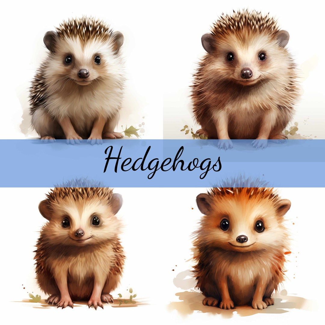 12 Cute Hedgehogs Clipart Bundle High quality JPG Craft Art Card 
