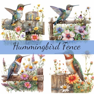 15 Hummingbird on Fence Bird Clipart Bundle, 15 High-Quality JPG, Craft Art, Card Making, Clip Art, Digital Paper Craft, Scrapbooking