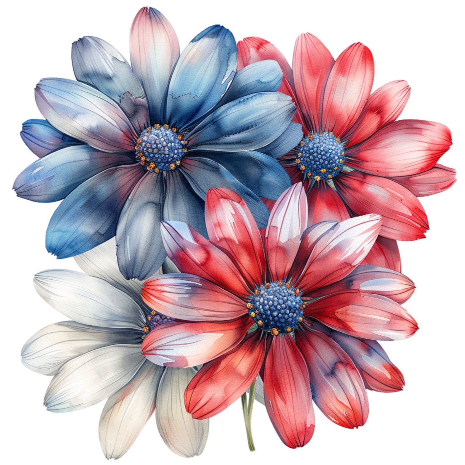 Red White Blue Daisy Flowers Clipart Bundle, 16 High-quality JPG, Craft ...