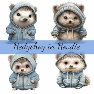 Bundle de cliparts hérisson dans un sweat à capuche, 16 fichiers JPG de haute qualité, création artistique, fabrication de cartes, clipart, créations numériques sur papier, scrapbooking