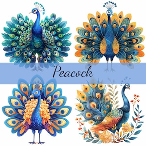 Lot de 16 beaux cliparts paon mignon, 16 fichiers JPG de haute qualité, création artistique, fabrication de cartes, clipart, créations numériques sur papier, scrapbooking