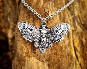 Moth deaths-head moth necklace pendant silver