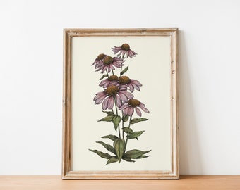 Coneflower Illustration hand drawn Print, Living room Cottagecore decor, INSTANT Digital Downloadable Wall Art