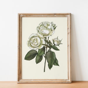 Rose Illustration Print: Hand-Drawn Floral Wall Art (Digital Download)
