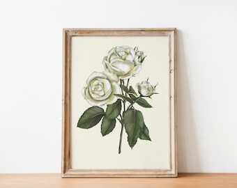 Rose Wedding Piano Illustration hand drawn Print, Living room Cottagecore decor, INSTANT Digital Downloadable Wall Art