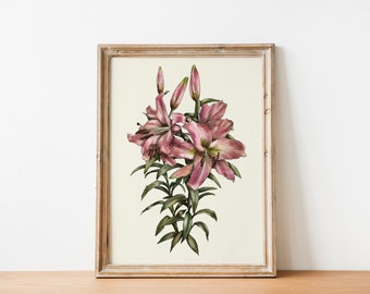Lily Illustration hand drawn Print, Living room Cottagecore decor, INSTANT Digital Downloadable Wall Art