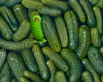 Average Pickle Puzzle