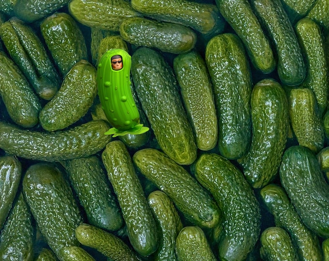 Featured listing image: Average Pickle Puzzle