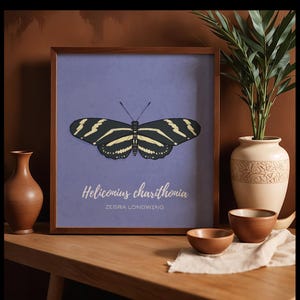 May include: A framed print featuring a black and yellow Zebra Longwing butterfly illustration on a purple background. The print includes the scientific name "Heliconius charithonia". The artwork is displayed on a wooden table with decorative vases and bowls.