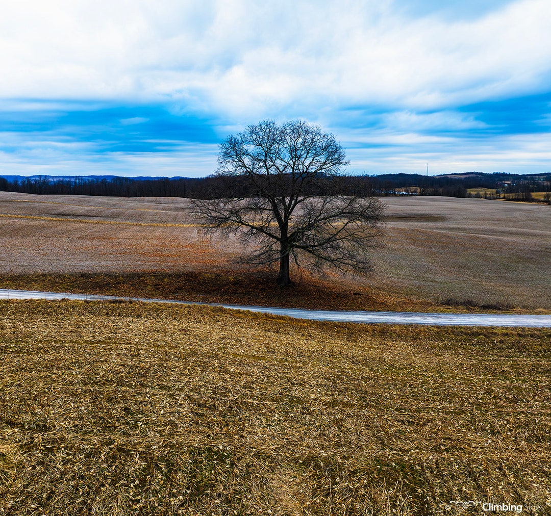 Standing in Winter Solitude - Pennsylvania Country Nature Landscape ...