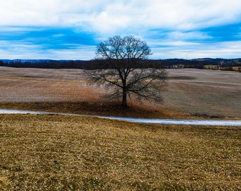 Standing in Winter Solitude - Pennsylvania country nature landscape peaceful tree artwork aerial digital photo image print