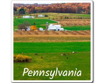 Grazing Together - Pennsylvania Amish farm nature landscape livestock animals outdoors scenic country art photo gift custom magnets