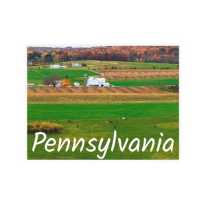 Grazing Together - Pennsylvania Amish farm nature landscape livestock animals outdoors scenic country art photo gift postcard greeting cards